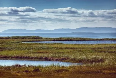 Nature jigsaw puzzle