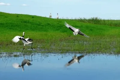 Nature jigsaw puzzle