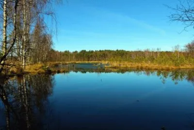 Nature jigsaw puzzle