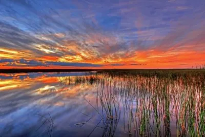 Nature jigsaw puzzle