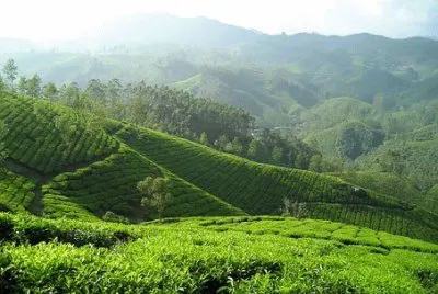 Nature jigsaw puzzle