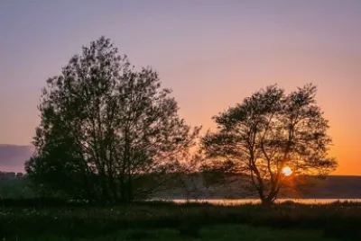 Nature jigsaw puzzle