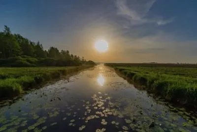 Nature jigsaw puzzle