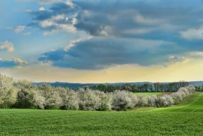 Nature jigsaw puzzle