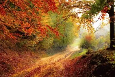 Nature jigsaw puzzle