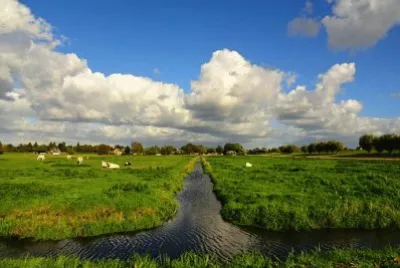Nature jigsaw puzzle
