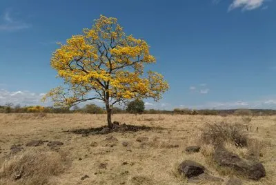 un cambio de aires