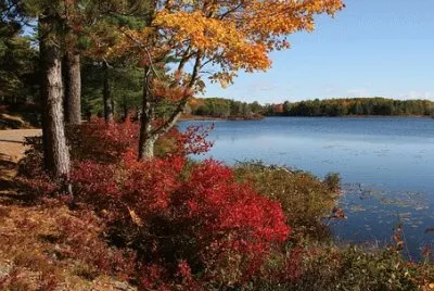 Nature jigsaw puzzle