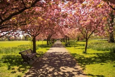 Nature jigsaw puzzle