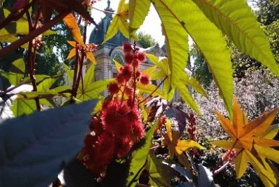 couleurs de l 'Ã©tÃ©