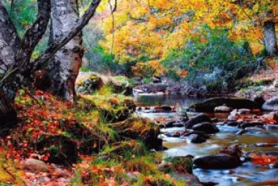 paisaje jigsaw puzzle