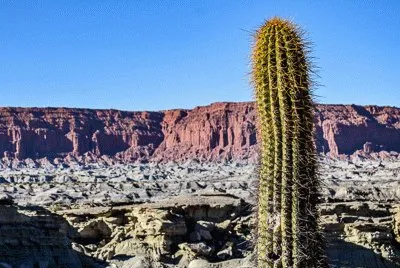 Ischigualasto jigsaw puzzle