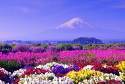 paisaje jigsaw puzzle