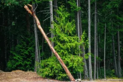 Parksville Canada