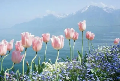 NATUREZA