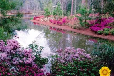 Paisaje de primavera