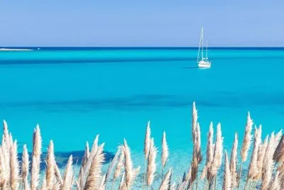 natural jigsaw puzzle