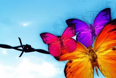 colori, couleurs