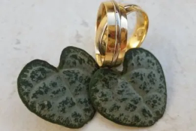 Bodas de Prata