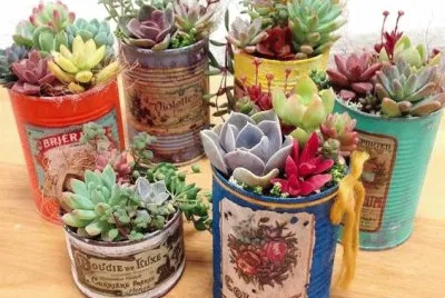 Latas