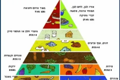×•×¢×“×ª ×‘×¨×™××•×ª