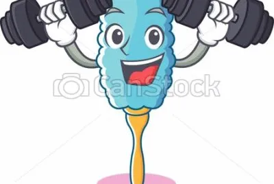 ×›×•×©×¨