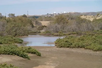 maspalomas