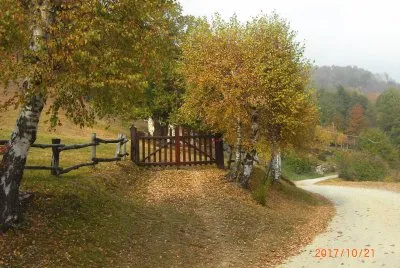 TRACCIOLINO