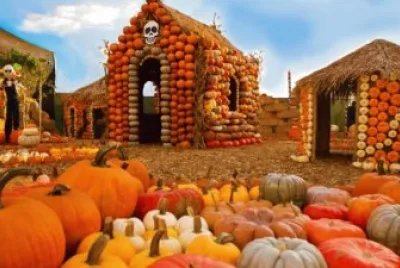 Bones Pumpkin Patch-Culver City, CA