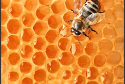 ABEJA