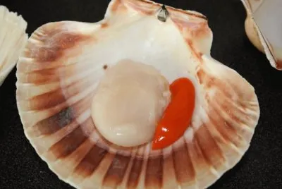 Capasanta