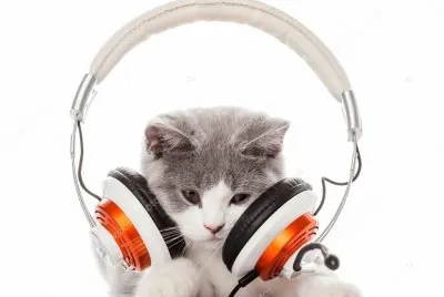 Tod@s podemos escuchar MÃšSICA