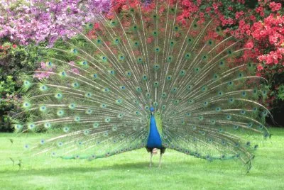 Colori, couleurs