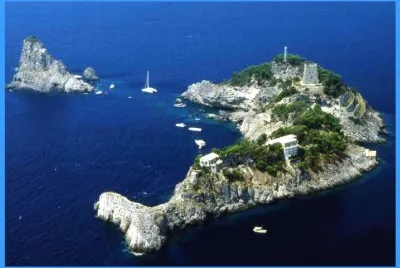 ISLA DEL DELFIN jigsaw puzzle