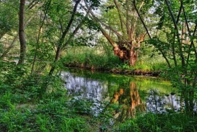 Nature