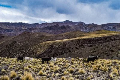 Catamarca jigsaw puzzle