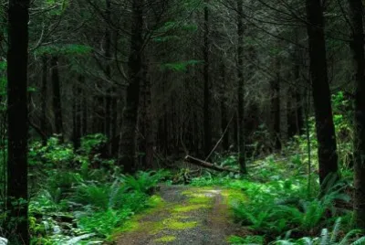 Nature
