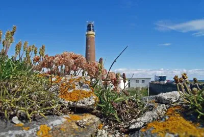 lighthouse schottland