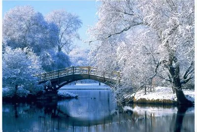 Paisaje Nevado jigsaw puzzle