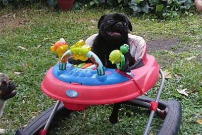 I 'm a baby to