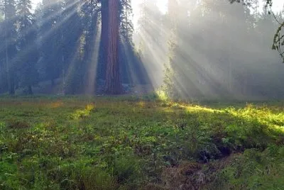 Nature