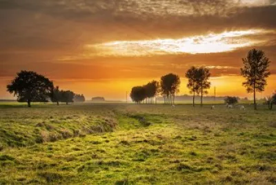 Paisagem da Natureza jigsaw puzzle