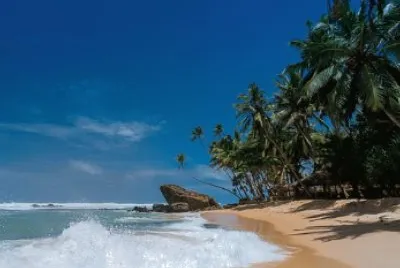 VerÃ£o jigsaw puzzle