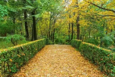 Nature jigsaw puzzle