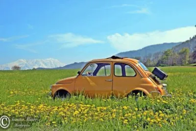 FIAT 500 fiore jigsaw puzzle