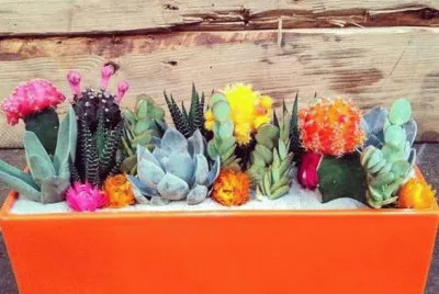 Objetos