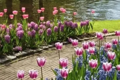 2 jigsaw puzzle