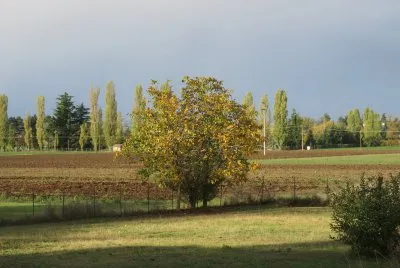 autunno