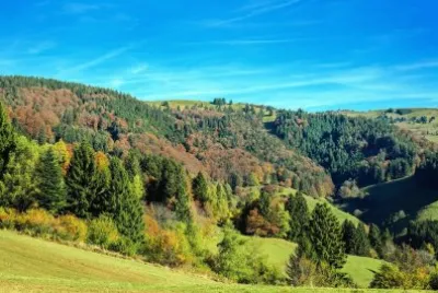 פאזל של Nature