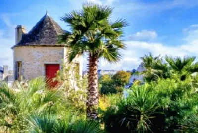 La tour au palmier